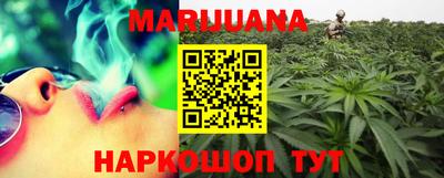 гидропоника Гатчина